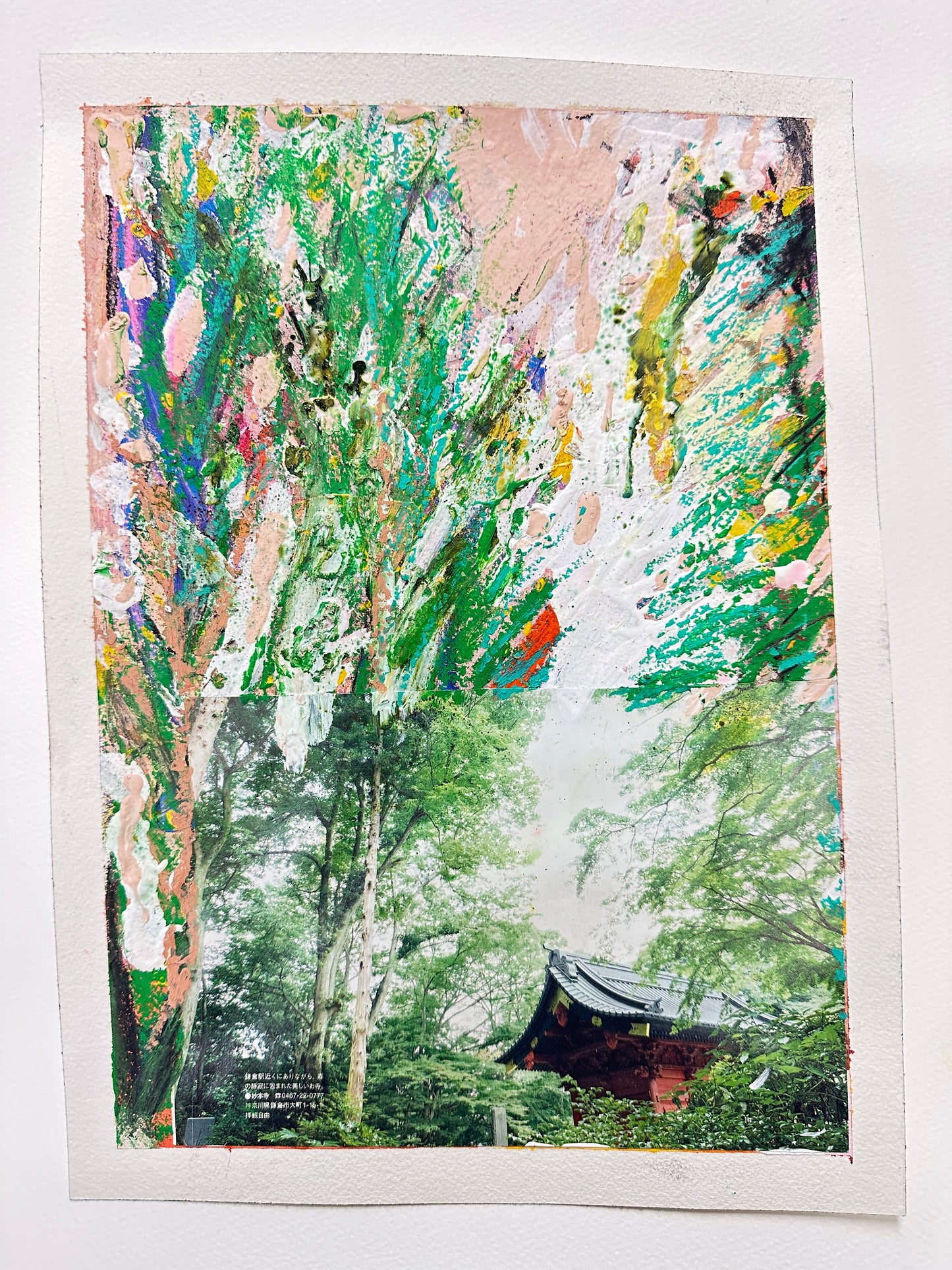 Japanese house dream