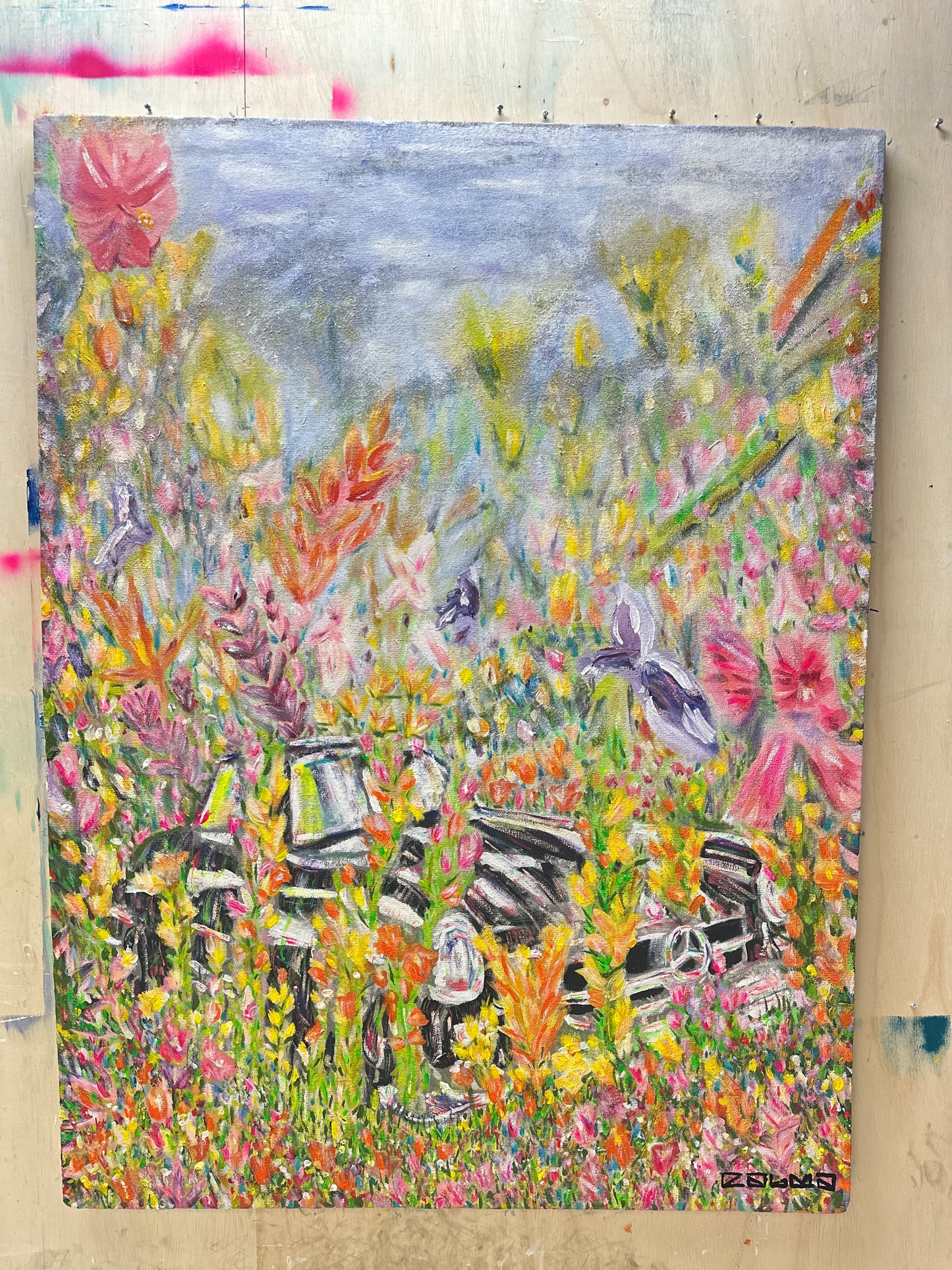 Mob vehicle dumped in a field